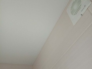 Натяжной потолок со вставкой