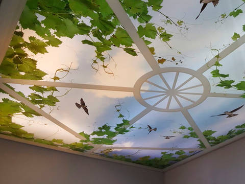 Натяжные 3D-потолки в Белгороде от компании ОЛИМП